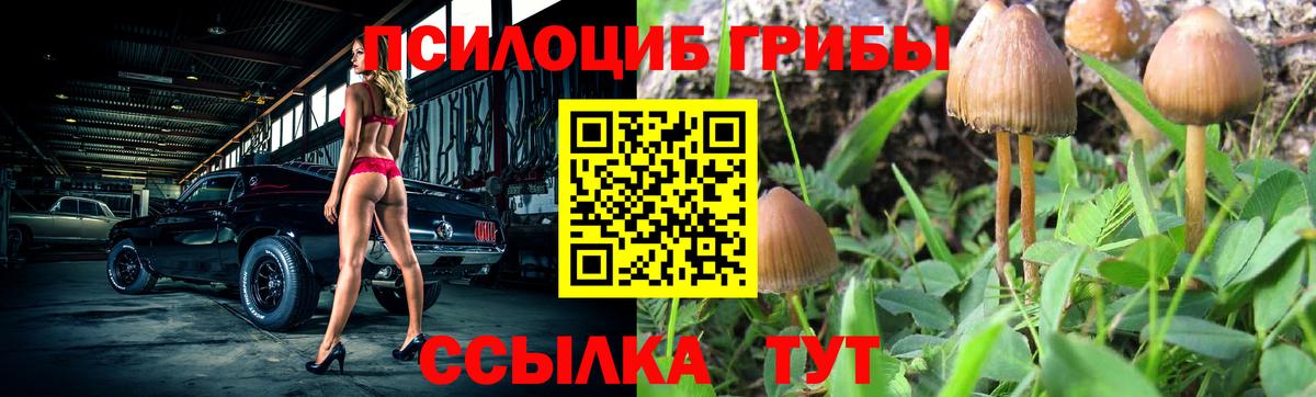 Галлюциногенные грибы ЛСД  Вход с VPN  Аргун 