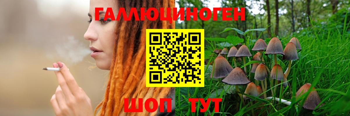 Галлюциногенные грибы MAGIC MUSHROOMS Аргун